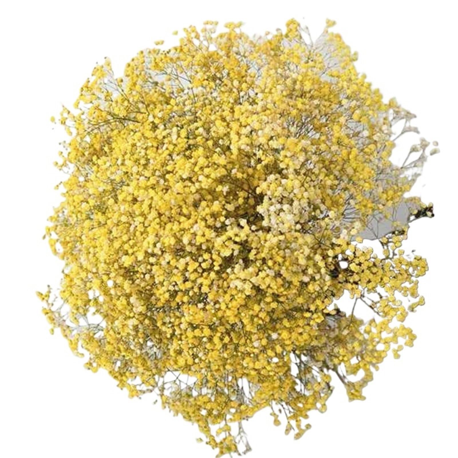 LuoAXINN Artificial Flower Branches Artificial Flowers Flower Bouquets For Wedding Decoration(Yellow,50g)