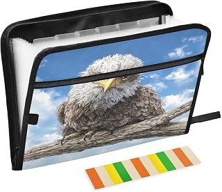 Eagle Chick in Sky Expanding File Organizer with 13 Pockets Accordion File Folders with Labels,Portable Document Paper Bill Receipt Organizer,Home College School Office Supplies, Letter