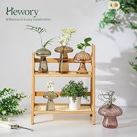 Vista 3 de Hewory Glass Mushroom Propagation Stations: Set of 5 Unique Propagation Jars Glass Planter for Indoor Plants Home Decor - Amber Mushroom Vase