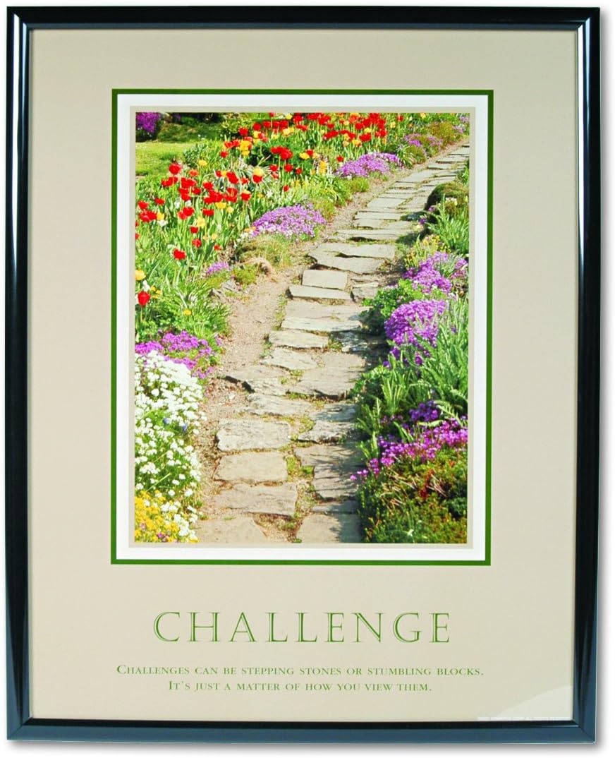ADVANTUS Framed Motivational Print, Challenge (Path), 24 x 30 Inches, Black Frame (78032)