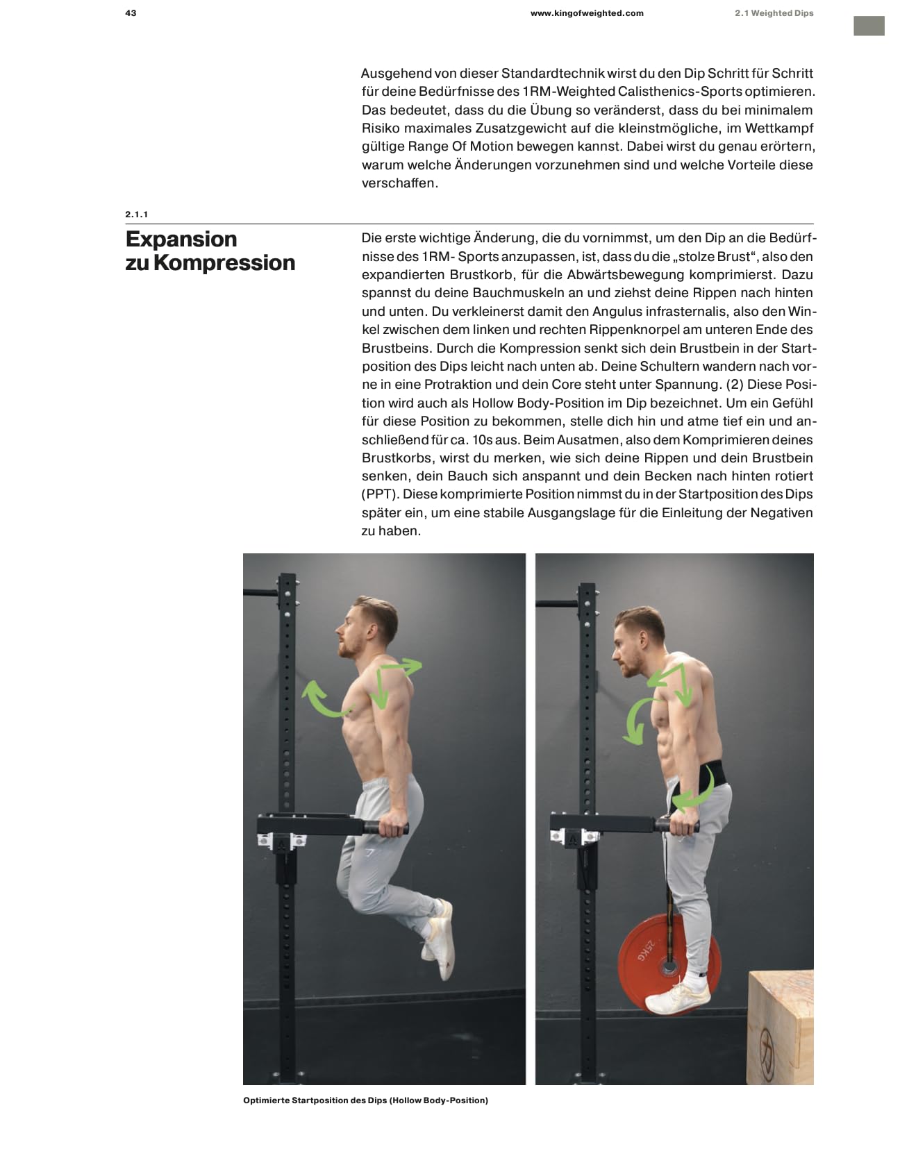 Understanding Calisthenics - Wie du systematisch Calisthenics Skills erlernen und dein Weighted Calisthenics verbessern kannst