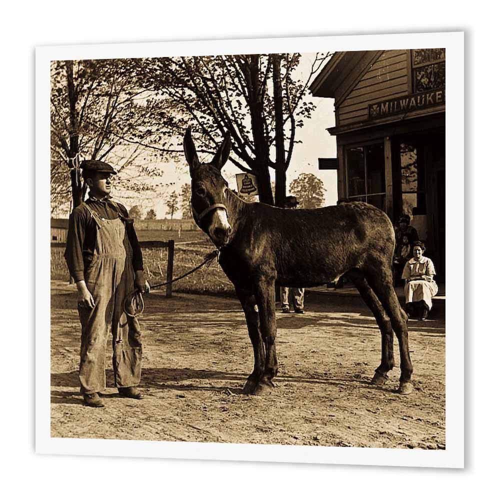 3dRose ht_16065_2 1900 Man and a Mule in Milwaukee Sepia-Iron on Heat Transfer Paper for White Material, 6 by 6-Inch