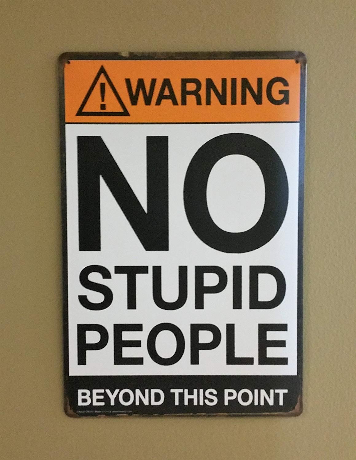 Tin Signs Warning : No Stupid People Beyond This Point, Metal, Wall Decorative Sign, Size 8" X 12", Multicolor - Image 3