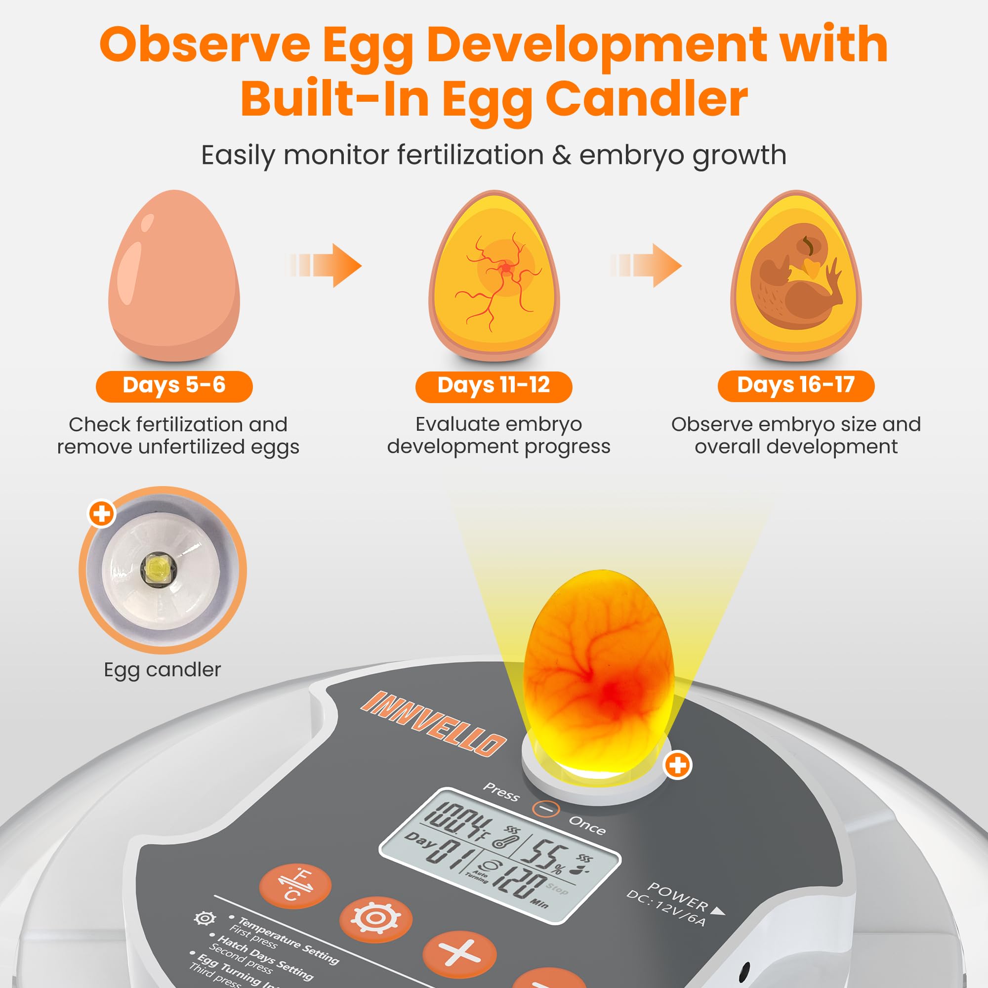Incubadora automática de huevos de 18 huevos para incubar huevos, incubadora de huevos de gallina con giro automático de huevos, control de humedad y temperatura, contador de día de eclosión, vela de