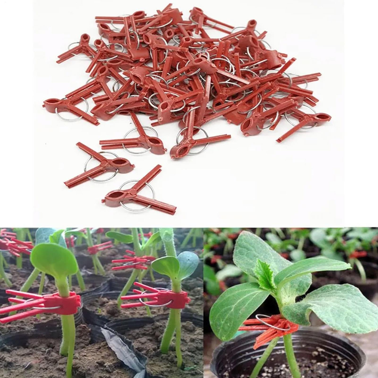 Clips de injerto de plantas, clips de injerto de vegetales | Paquete de 50 abrazaderas de fijación de plantas,Soporte de escalada en la connectas para una enredadera de vegetales, conector de jardiner