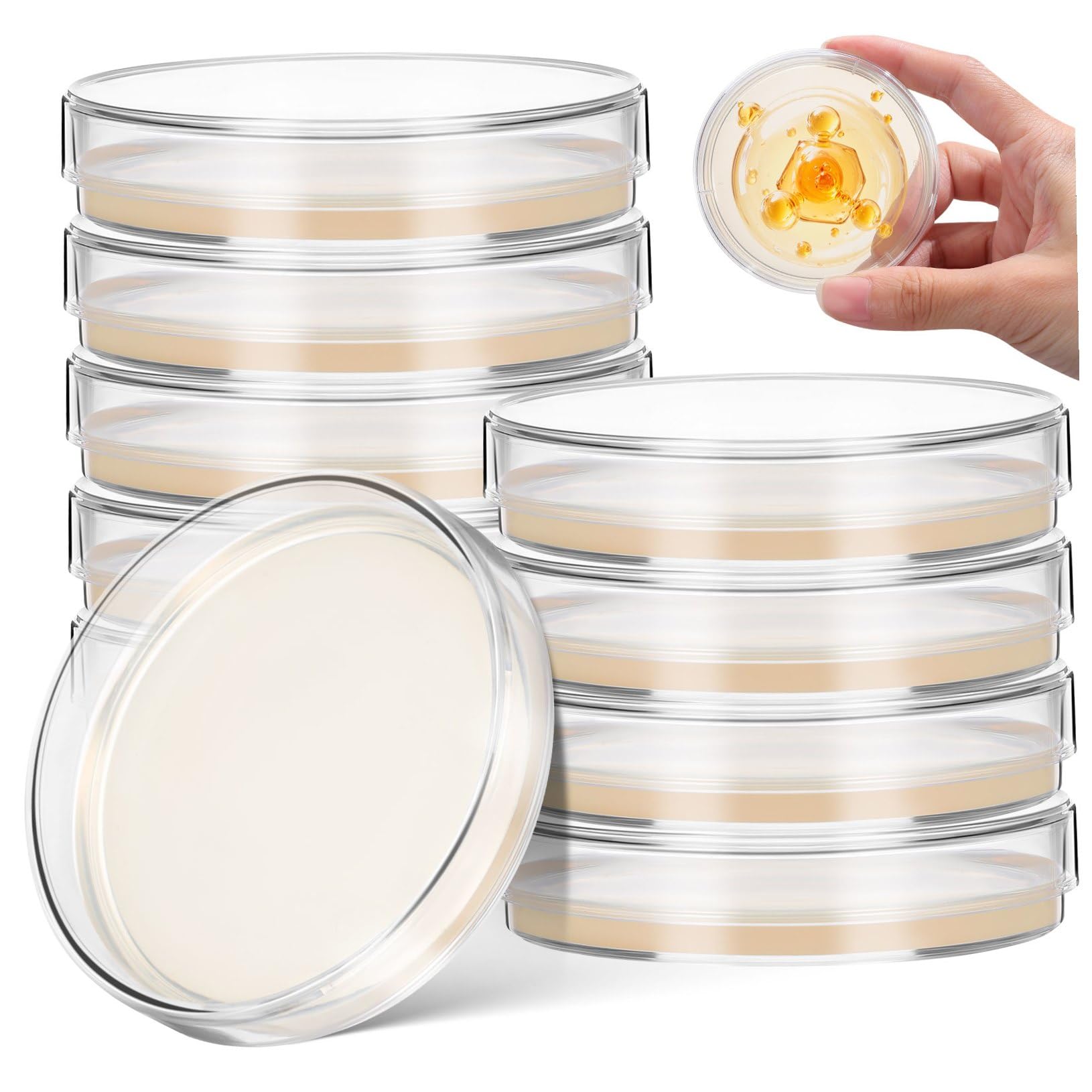 Piastre Petri con Agar 7cm, 10 Pezzi, per Coltura Microbiologica | Pronte All’uso, Strato Spesso di Agar, per Esperimenti Scientifici Stem, Decorazioni Scuola