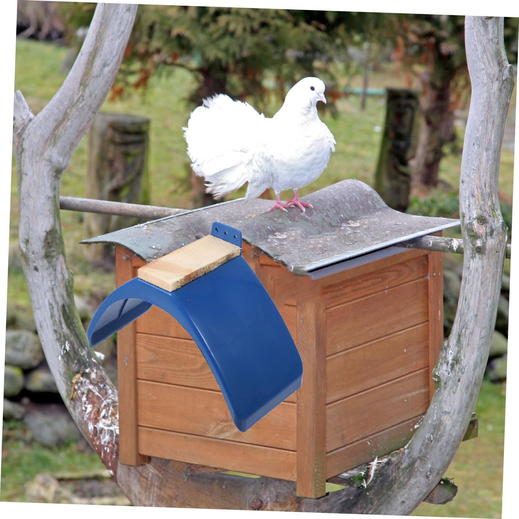 POPETPOP 6 Pack Pigeon Rest Stands Solid Wood Perch Platform for Birdcage Stands for Doves Arch Bridge Design Stable Comfortable