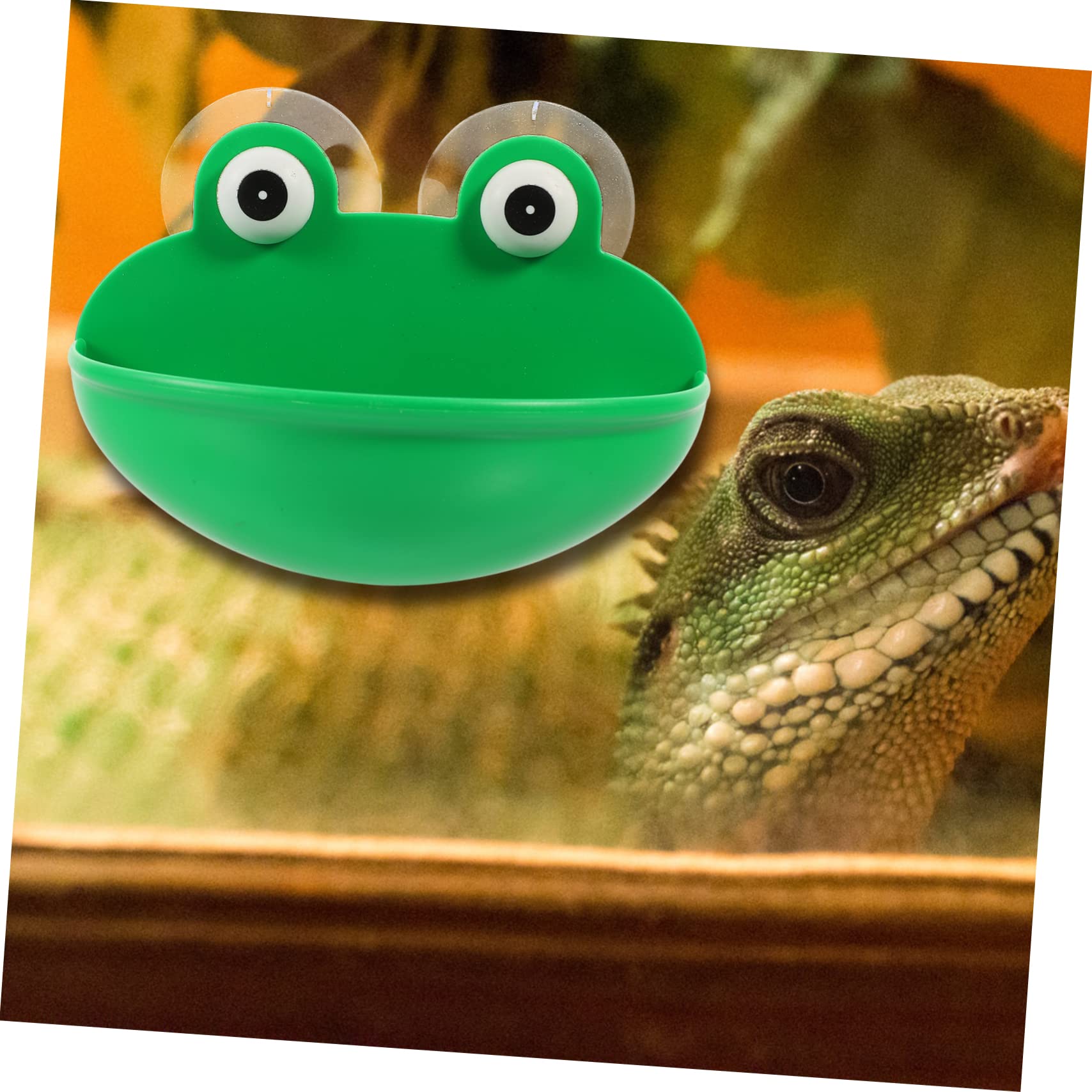 Beaupretty 6piezas Plataforma Decorativa para Terrario De Reptiles De Descanso y Alimentación para Mascotas Accesorios Multifuncionales para Decoración De Terrarios
