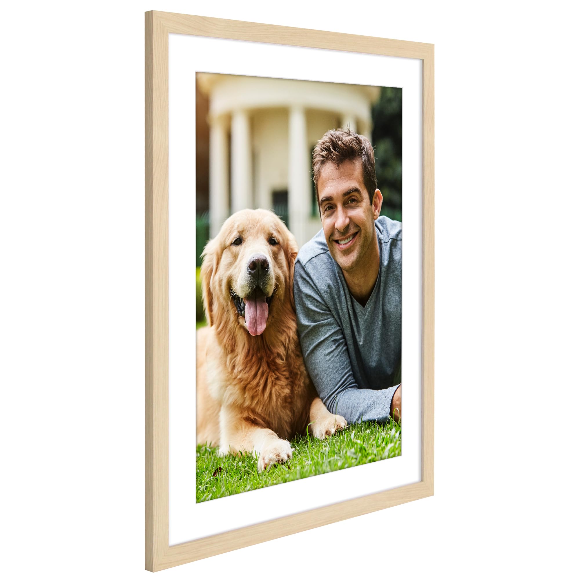 https://m.media-amazon.com/images/I/71ZOrHTwwKL.jpg