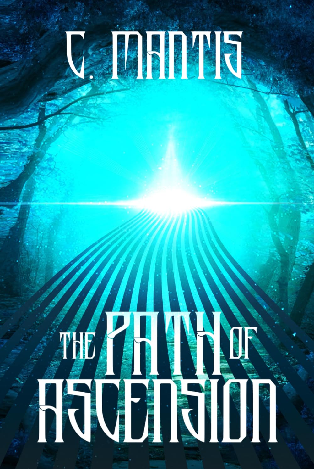 The Path of Ascension: A LitRPG Adventure