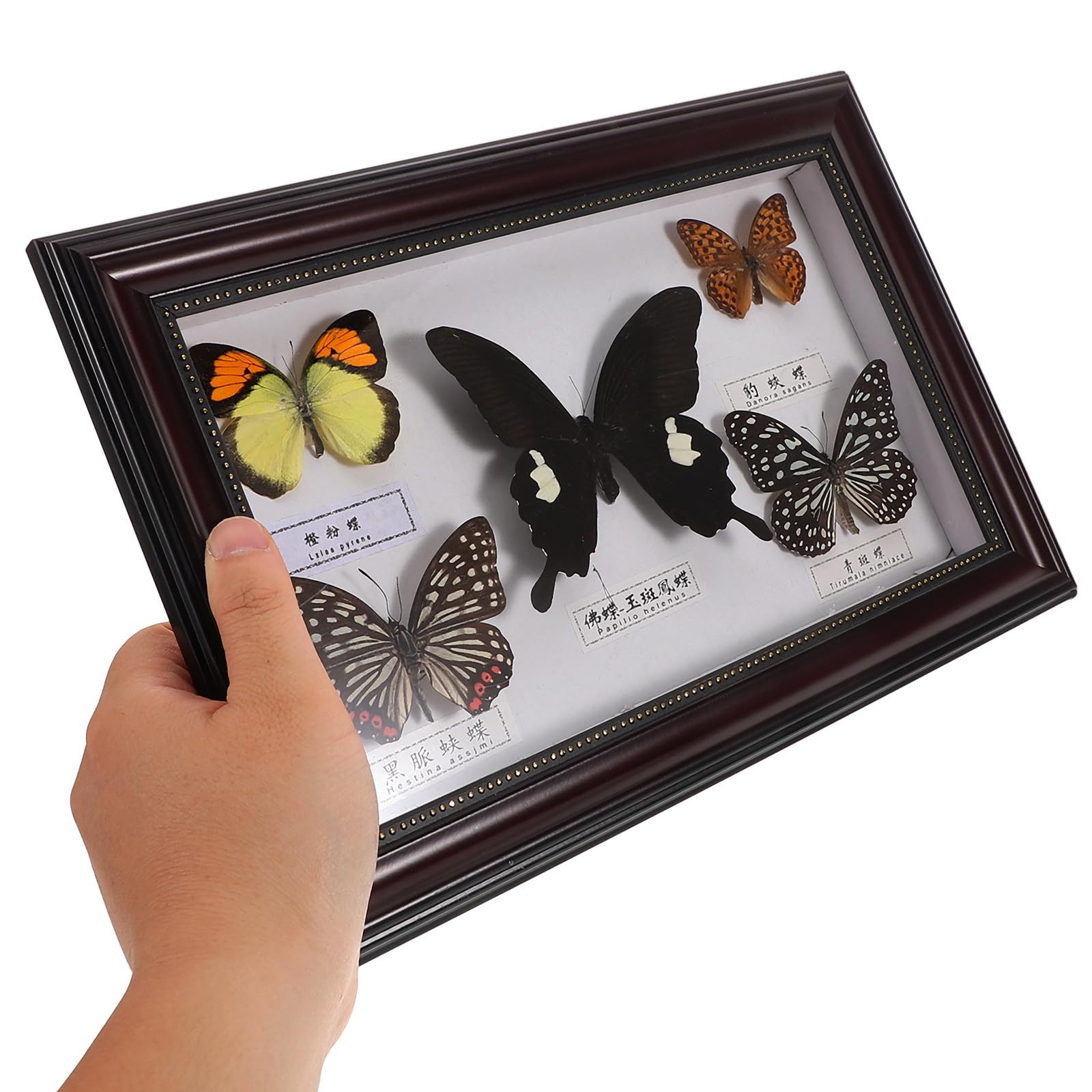 Marco de Fotos Decorativo Mariposas de Madera, Diseño Retro y Acabado Artesanal, Adecuado Decoración del Hogar y Espacios de Vida