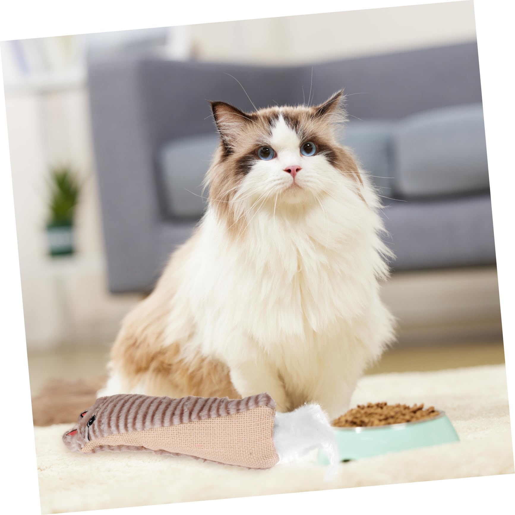 minkissy Jouets pour Chats Interactifs Doux Et Confortables en Papier Froissé en Forme De Dessin Animé