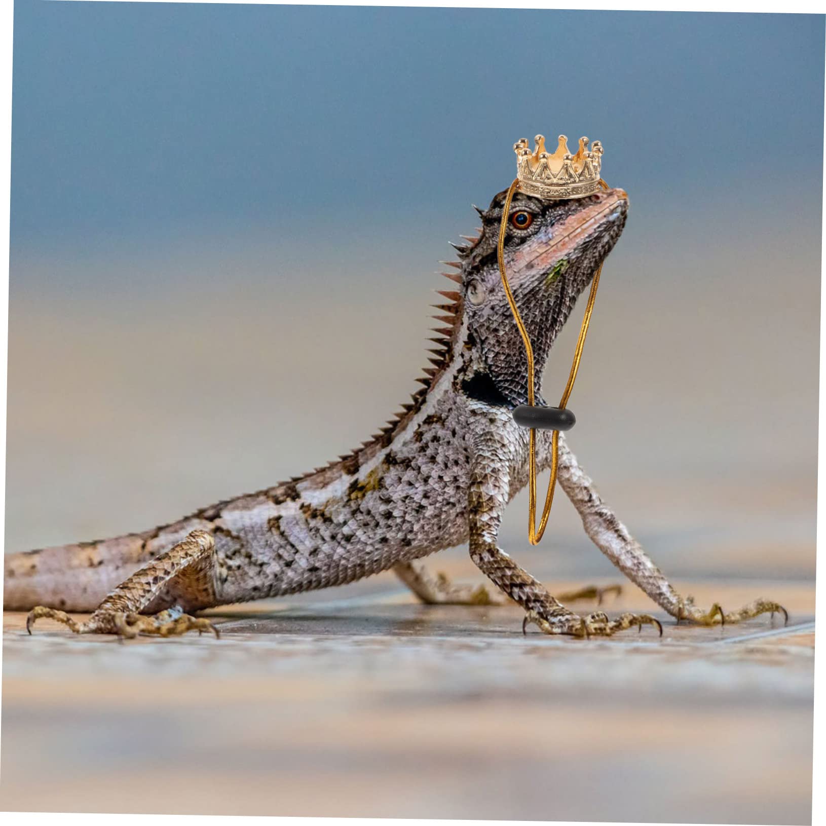 Bearded Dragon Harness Lizard Crown Necklace Set Gold Costume