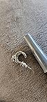 Review Image by Amazon_ Customer Amazon_ Customer