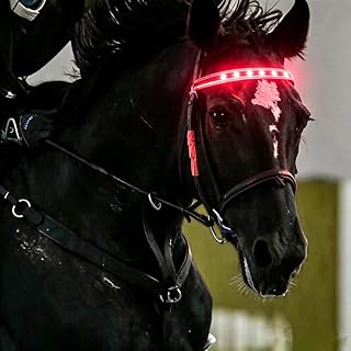 VEROH LED Horse Tack Equestrian Night Riding Safety Light