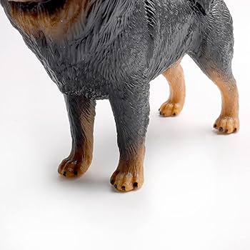 Ogay ogil va ogay ona jinsiy aloqa