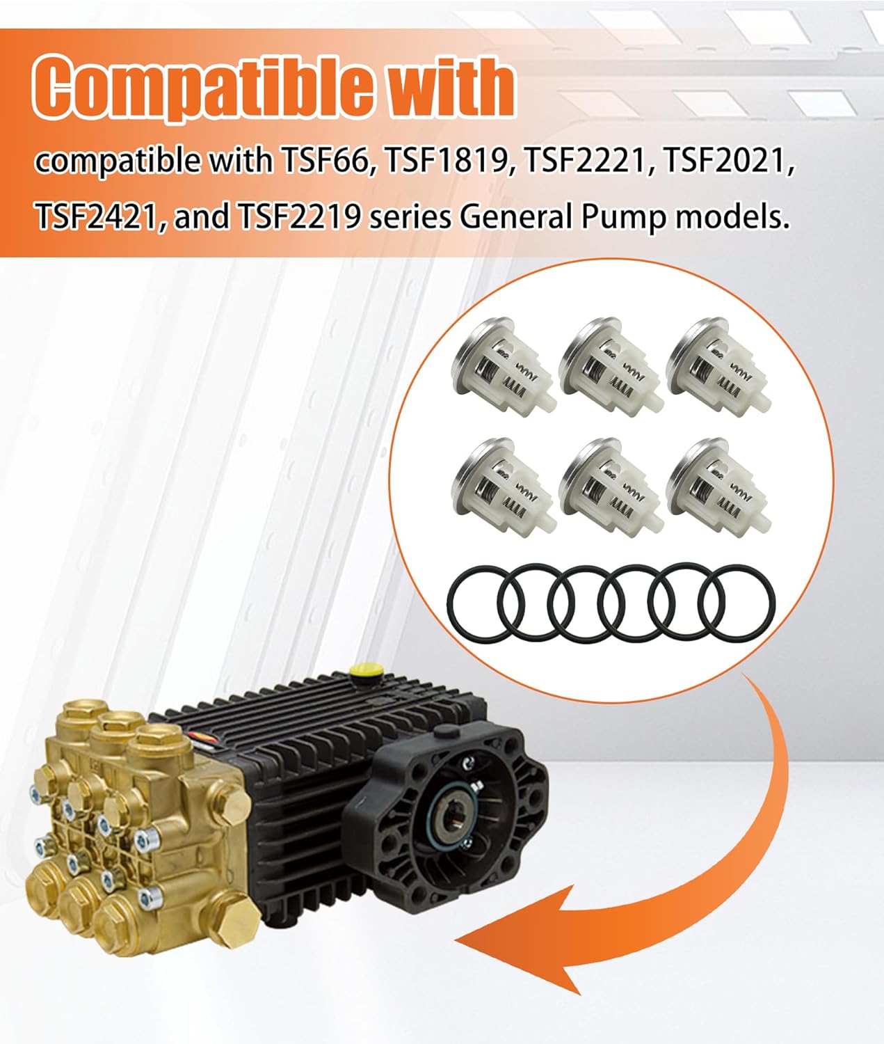 Washer Pump Check Valves Fits for General Pump/Interpump TSF66 TSF1819 TSF2221 TSF2021 TSF2421 TSF2219 Series Replace Kit169