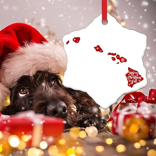 Miniatura 3 de Hawaii Christmas Ornaments Merry Christmas YAll Xmas Tree Decorations USA State Porcelain Ceramic Christmas Ornament New Home to Friend