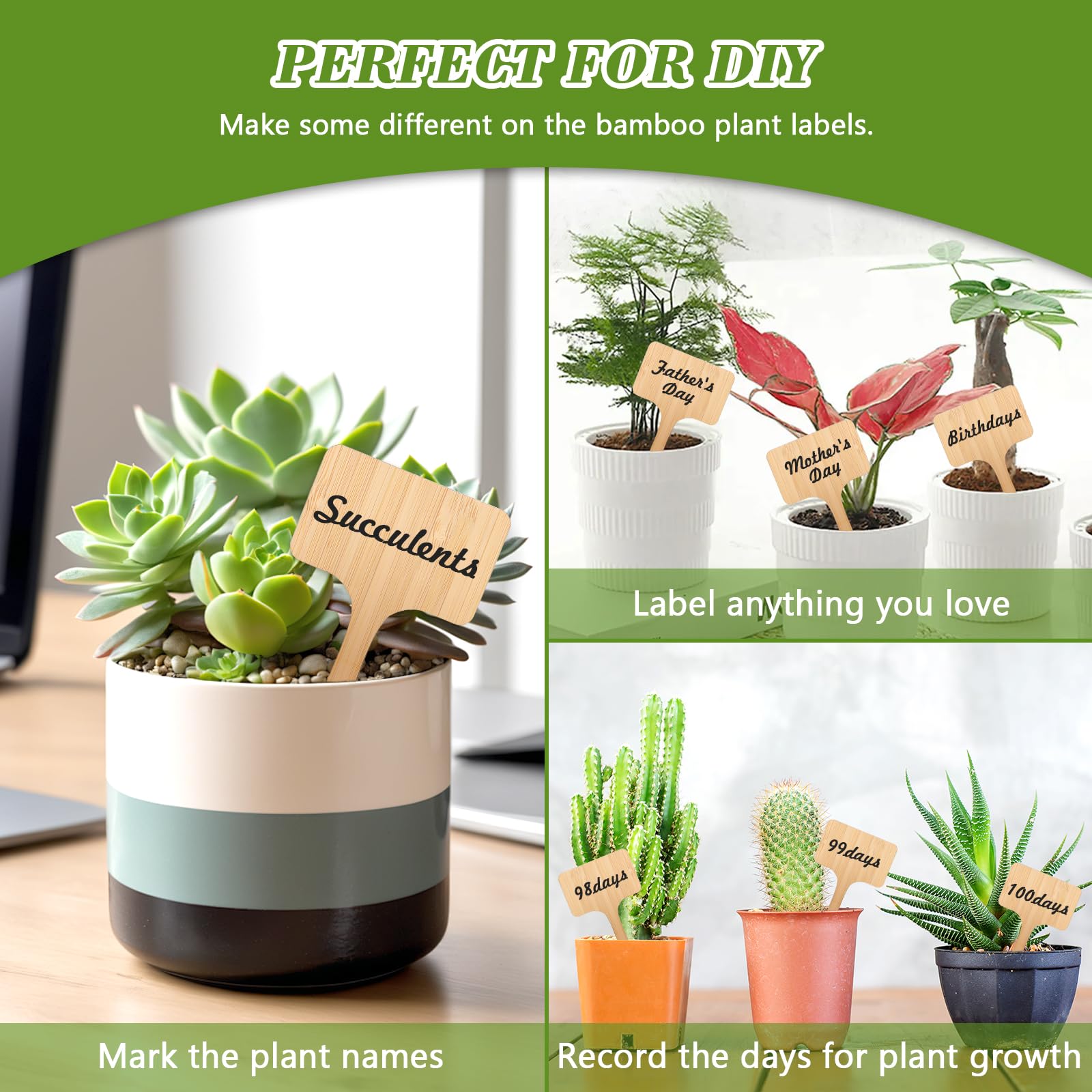 Lot de 120 étiquettes de plantes en bambou avec un marqueur respectueux de l'environnement en T pour semis, herbes, fleurs, légumes