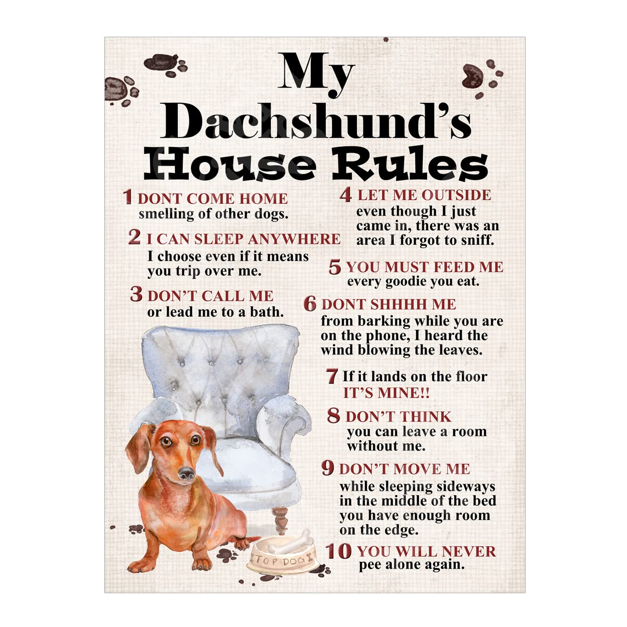 Metal Sign Plaque Dog House Rules My Dachshund's Pet Home Bar Man Cave Garden Shed Garage Pub Decor Shed Garage size 10x8in ref8293