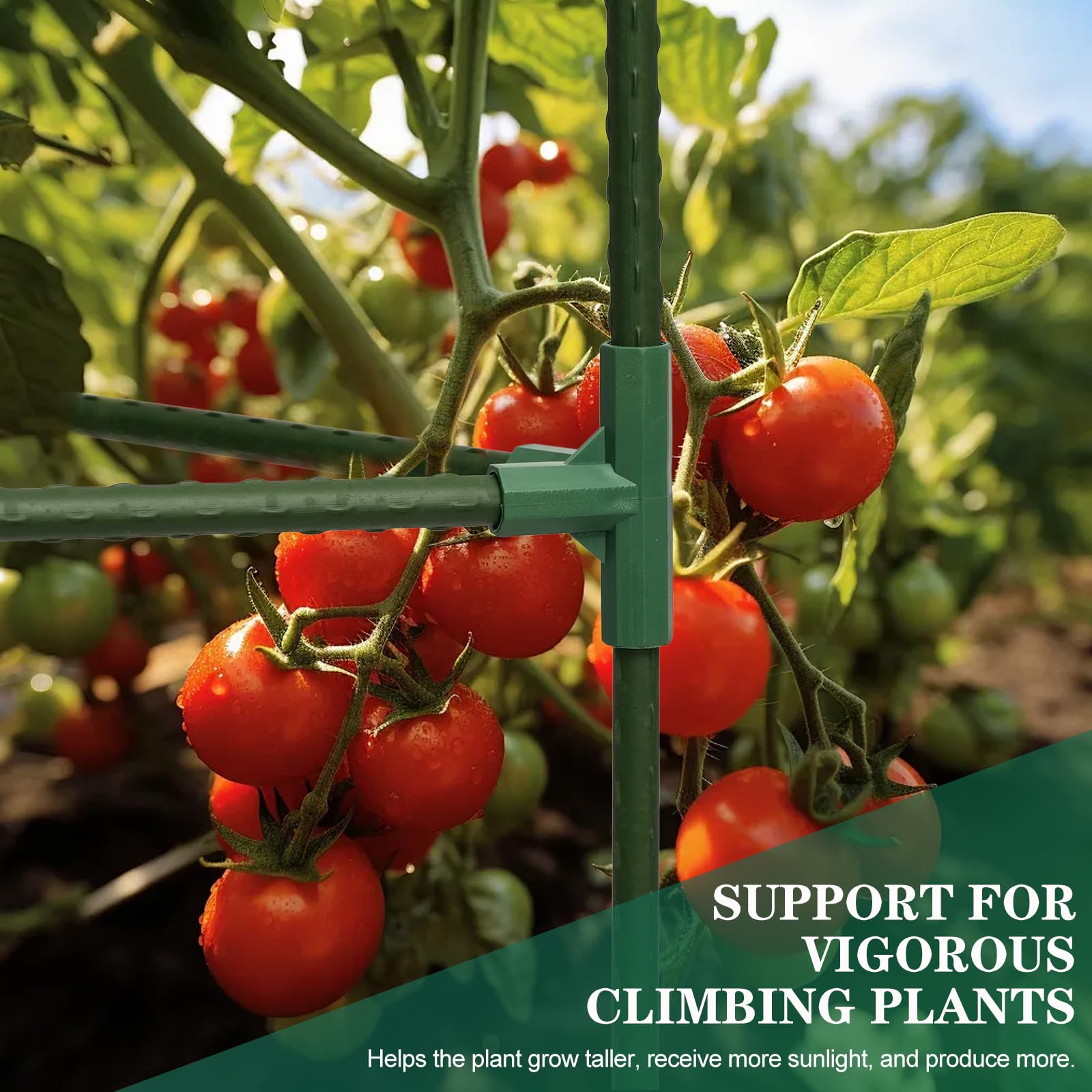 Gabbie per pomodori da giardino, palo di supporto per piante di pomodoro alto 127 cm, pali a torre in acciaio resistente, gabbie da giardino per cetrioli da giardino per piante rampicanti, fiori di