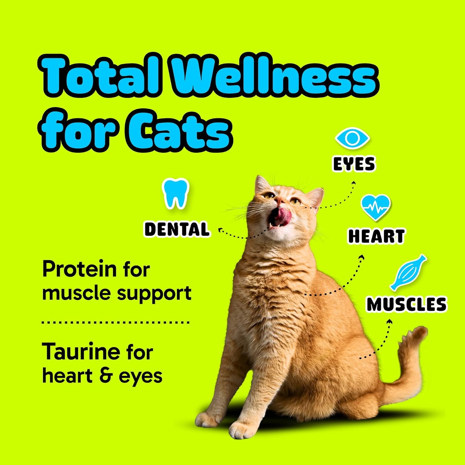 ARI'S PURRFECT Cat Dental Bites Soft Chews - Daily Dental Care for Healthy Teeth and Fresh Breath - Feline-First Formula Supports Oral Care with Two-Week Supply