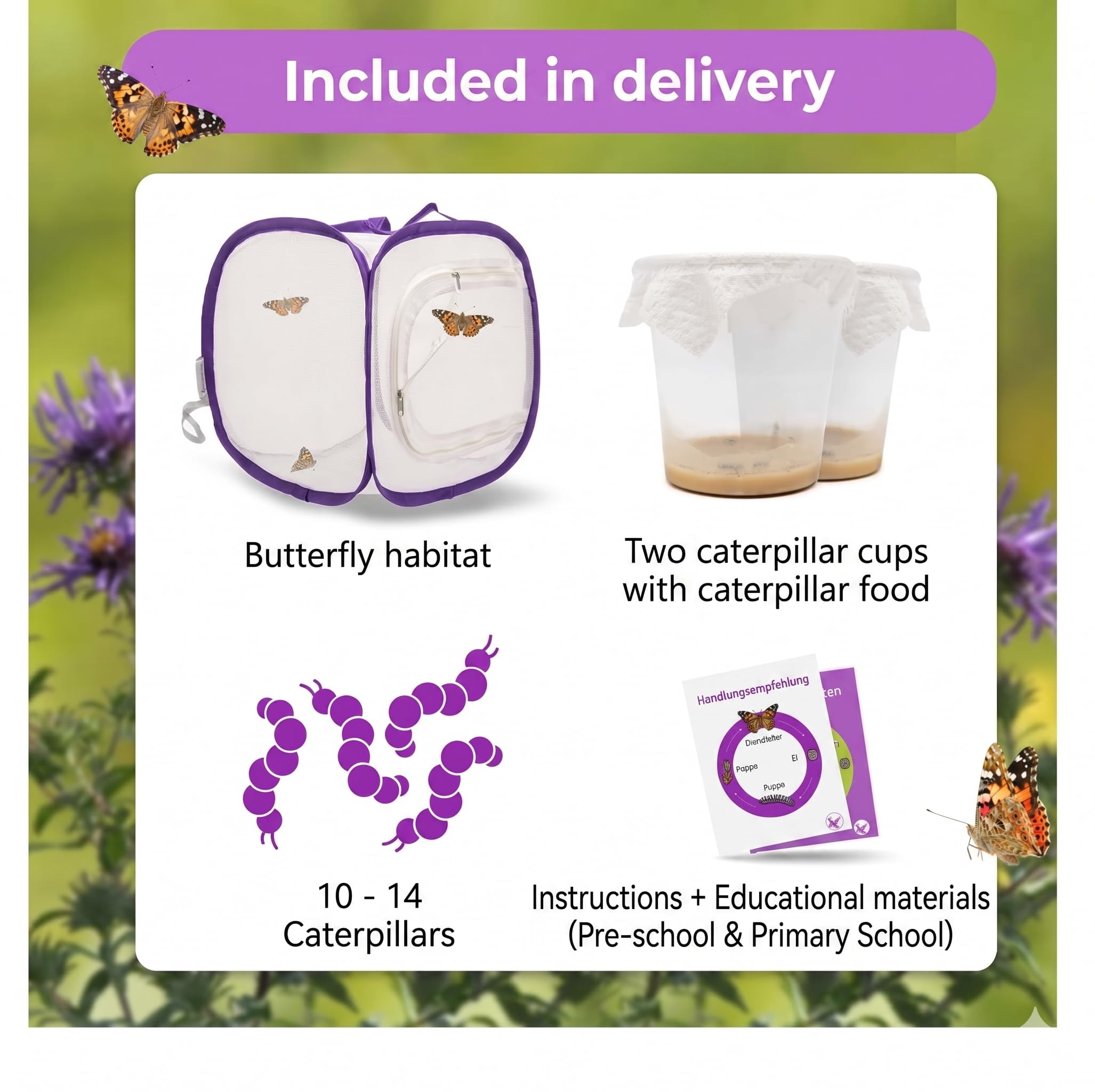 Schmetterlingszucht-Set für Kinder/Erwachsene | Ideal für zuhause | Heimische Schmetterling züchten mit [Erfolgsgarantie] | GRATIS E-Book und Lernmaterialien | Raupenzucht klein ab 3 Jahren - 2 Becher