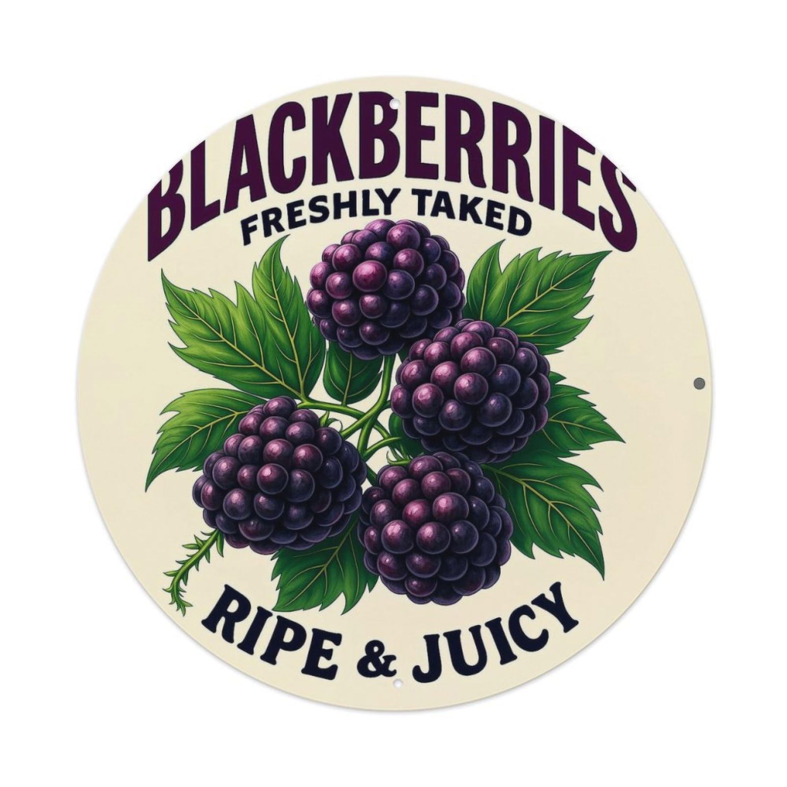 Blackberries Freshly Taked Ripe Juicy Metal Tin Sign Plaque