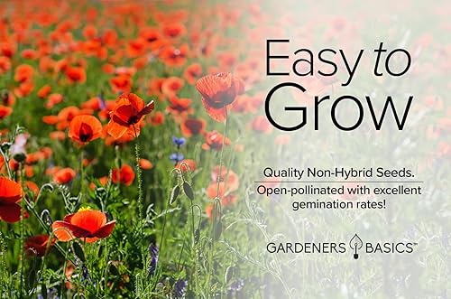 Miniatura 6 de Gardeners Basics Semillas de amapola para plantar (maíz rojo) - Paquete de semillas de flores rojas reliquia de flores perennes, variedad sin OMG
