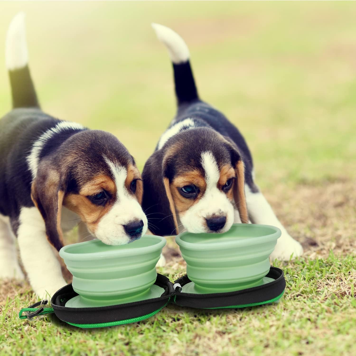 Green Double Travel Pet Bowl in Zip Case with Hook - 1 Piece- Portable & Convenient, Perfect On-the-Go Feeding and Hydration - Image 4