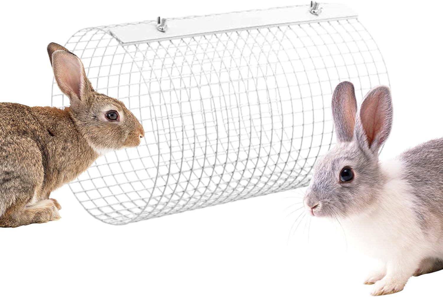 Hamster Tunnel – Cage Accessory and Small Animal Enrichment Toy, Round Pet Tube for Hamsters, Guinea Pigs, Bunnies, Gerbils, Ferrets, Encourages Exercise and Exploration, Interactive Play Feature
