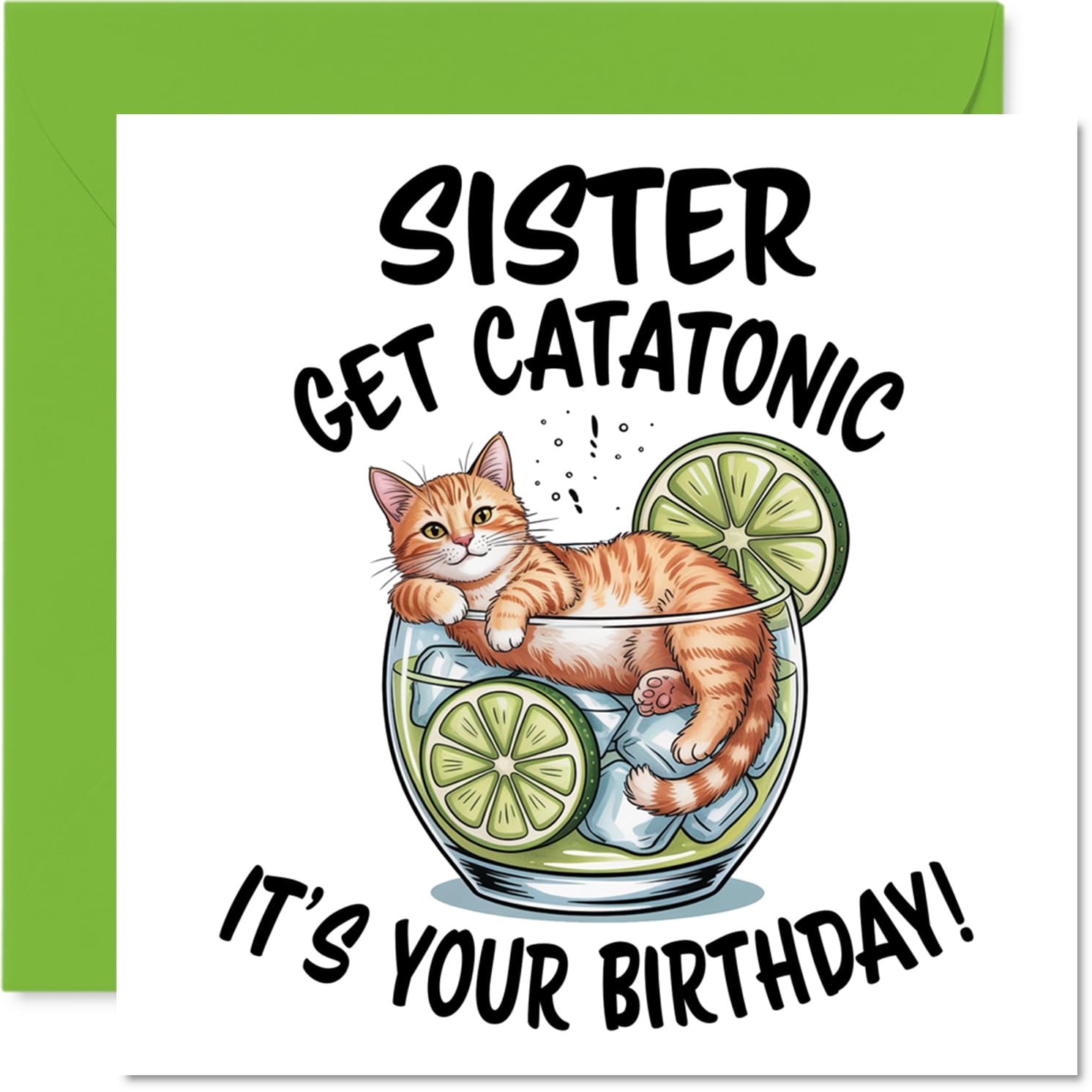Sister Birthday Card - Catatonic - Happy Birthday Card for Sister from Brother Sibling, 145mm Cute Animal Design Bday Greeting Cards