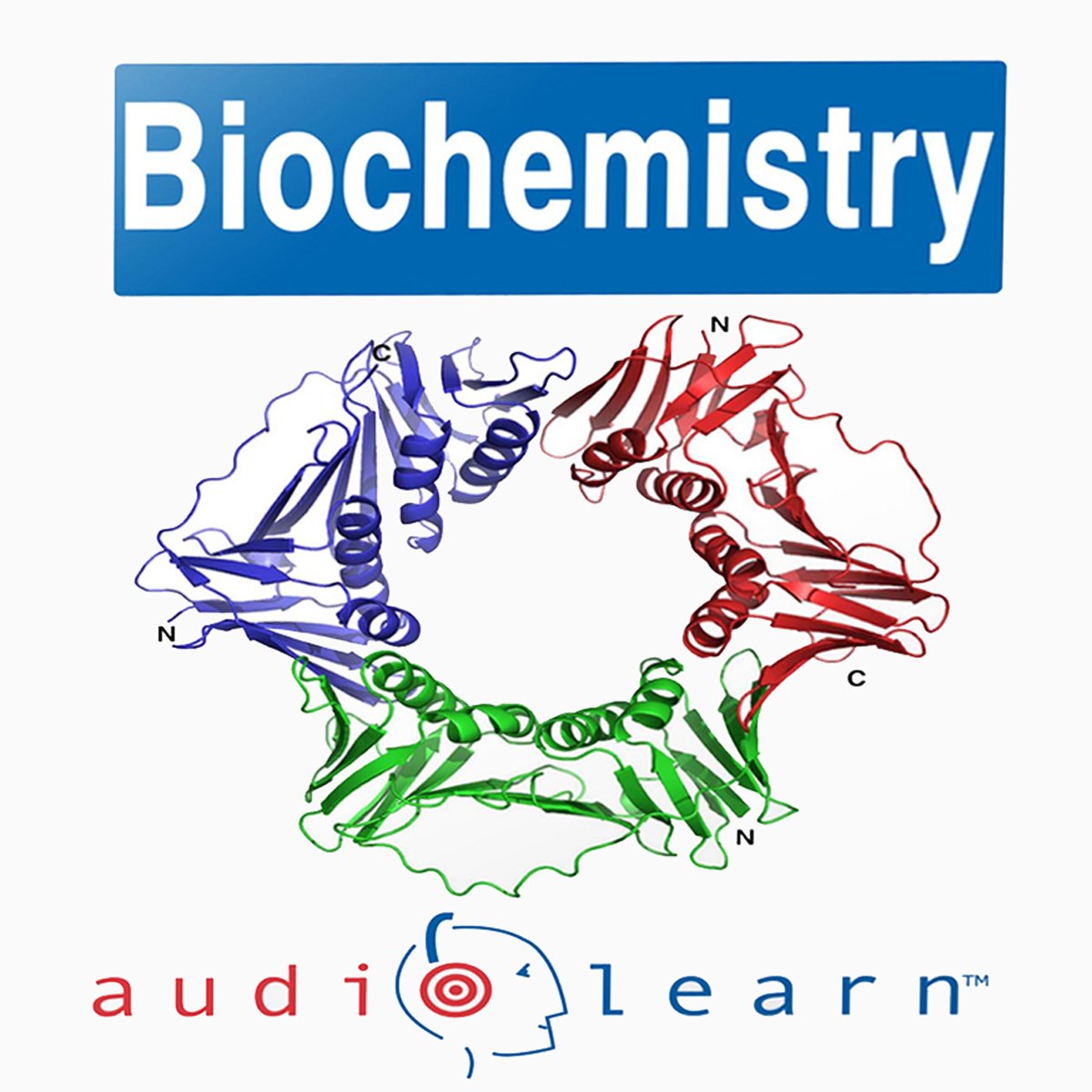 Introduction to Biochemistry: AudioLearn Follow-Along Manual
