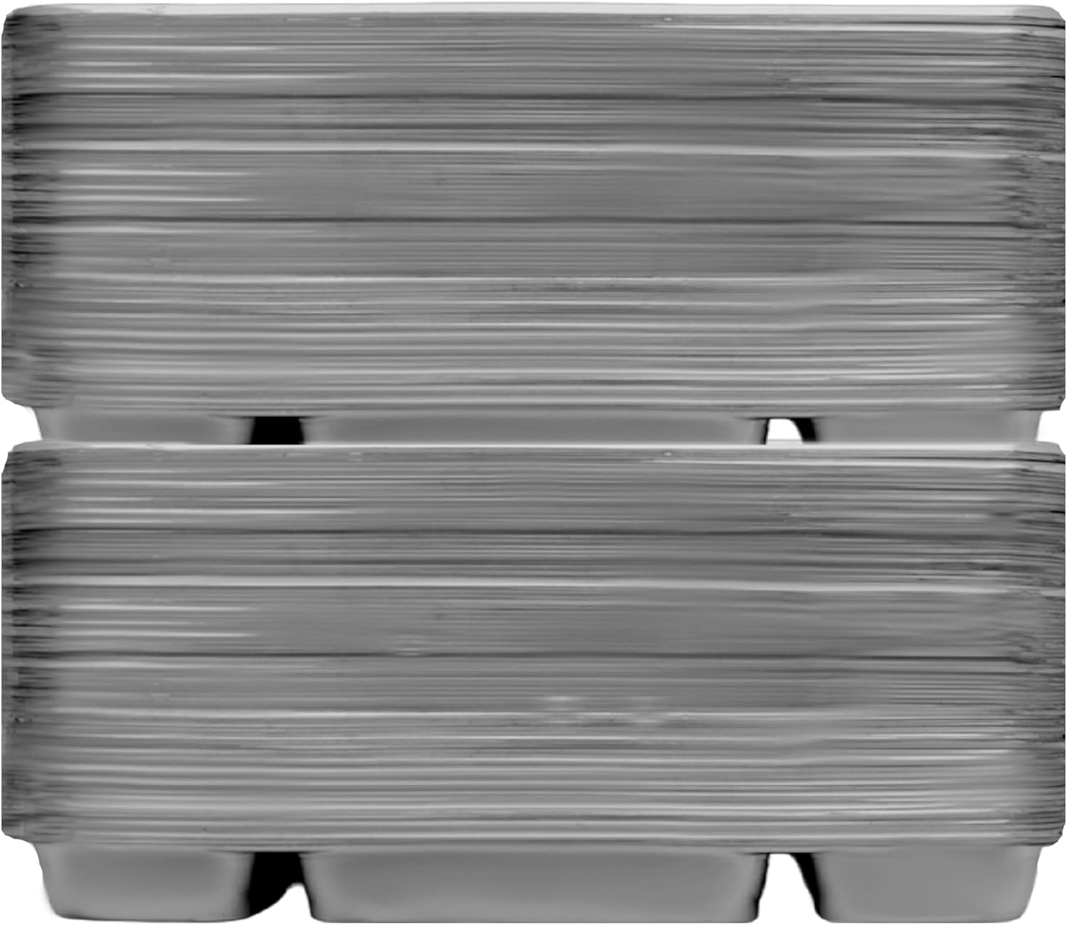 10 Compartment Silver Party Thali Plates (100 Pack)