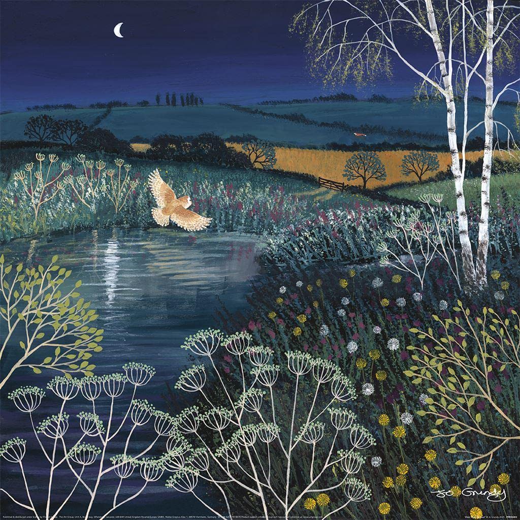 Jo Grundy Multicoloured Over Moonlit Pool Poster (One Size) (Multicoloured)