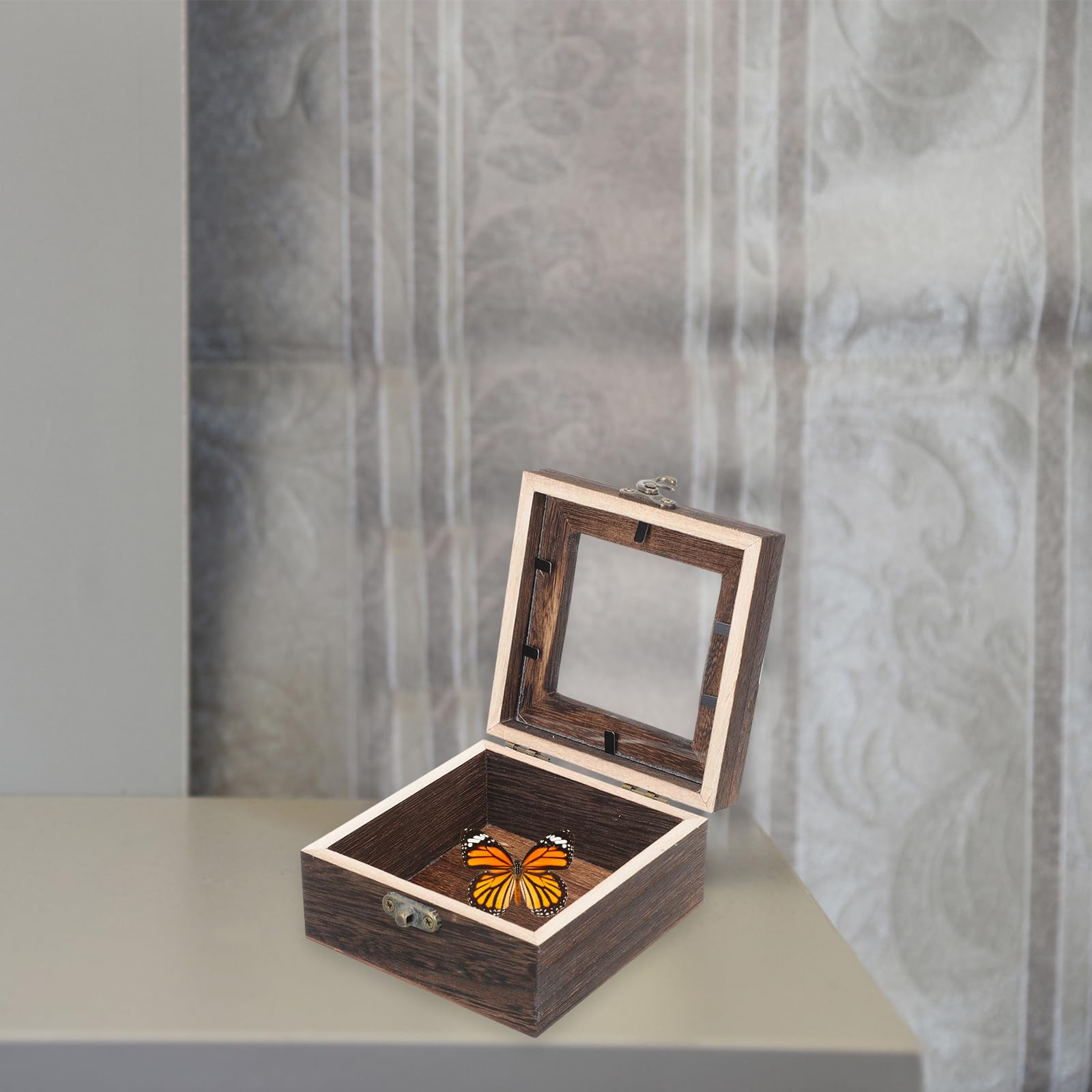 Cabilock Insekten Aufbewahrung mit Design Vitrine und Acryl Retro Multifunktionale Kleine Holzkiste mit Deckel für Schmuck und Münzen