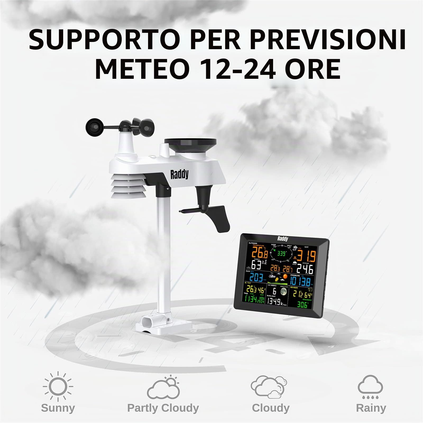 Raddy WF-100C Stazione meteo professionale senza fili con sensori umidità e pluviometro