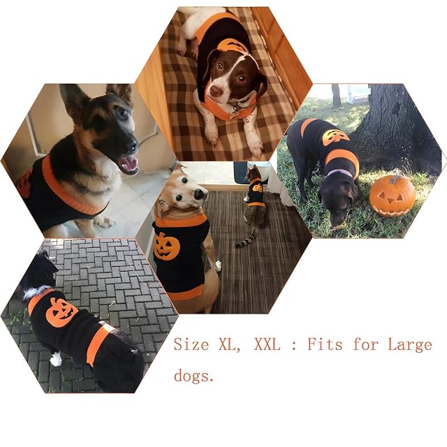 Foto 4 de 6 de DELIFUR Suéter para Perro, Disfraz de Calabaza para Mascota, Fiesta de Halloween para Gato y Cachorro (XXL