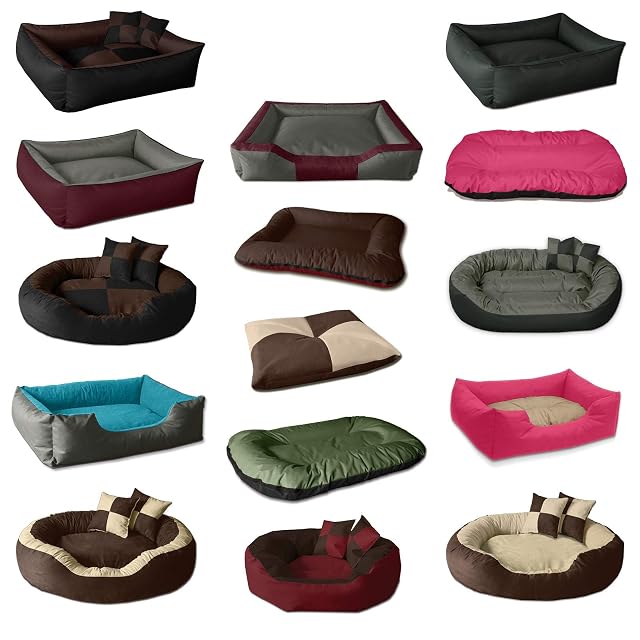Foto 6 de 6 de BedDog Cama para Perros MAX Quattro, Cesta Grande de Cordura, Lavable, con Borde, para Interior y Exterior, L