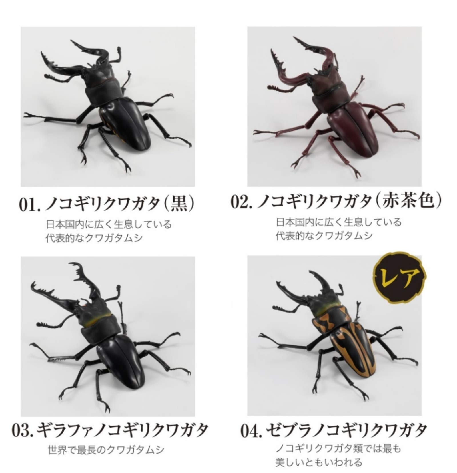 Amazon | くわがた ガチャ 全4種セット 【レア(ゼブラ 