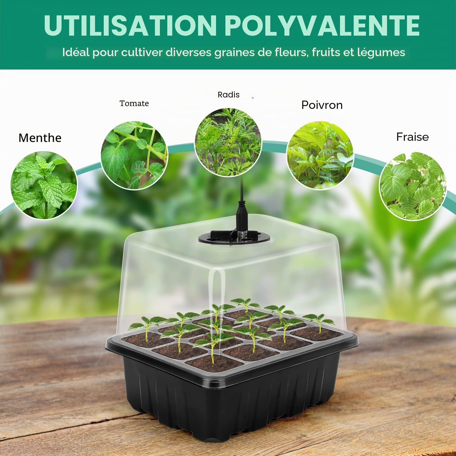 RIOGOO Lot de 6 Plateaux de démarrage pour semences avec lumière de Croissance, kit de démarrage pour semences avec luminosité et humidité réglables, kit de Germination en Serre (12 x 6,72 cellules)