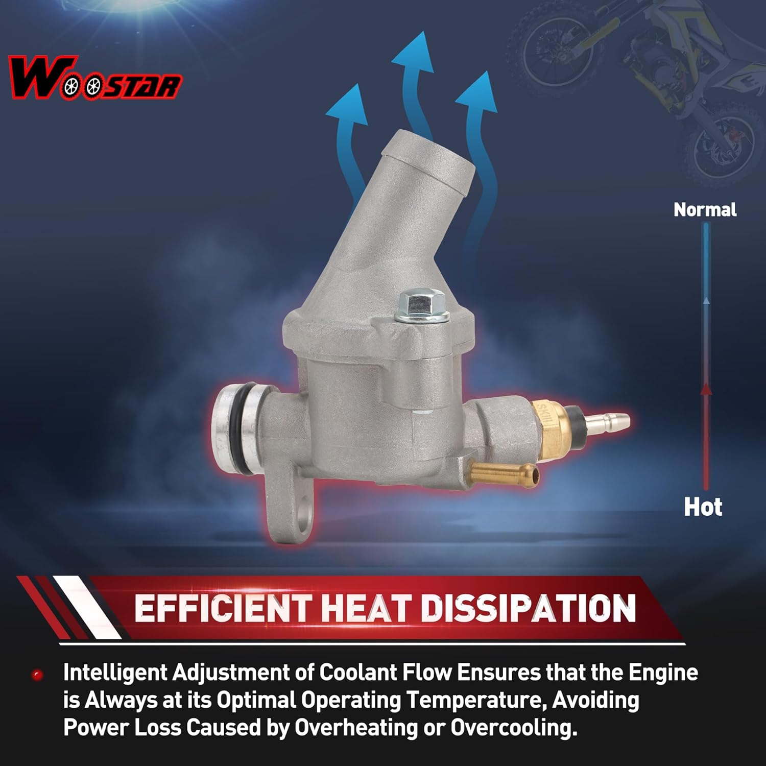 WOOSTAR Engine Coolant Thermostat Assembly Replacement for Elite 250 Helix CF250 CH250 250cc Water Cooled ATV 4 Wheeler Go Kart Scooter Moped