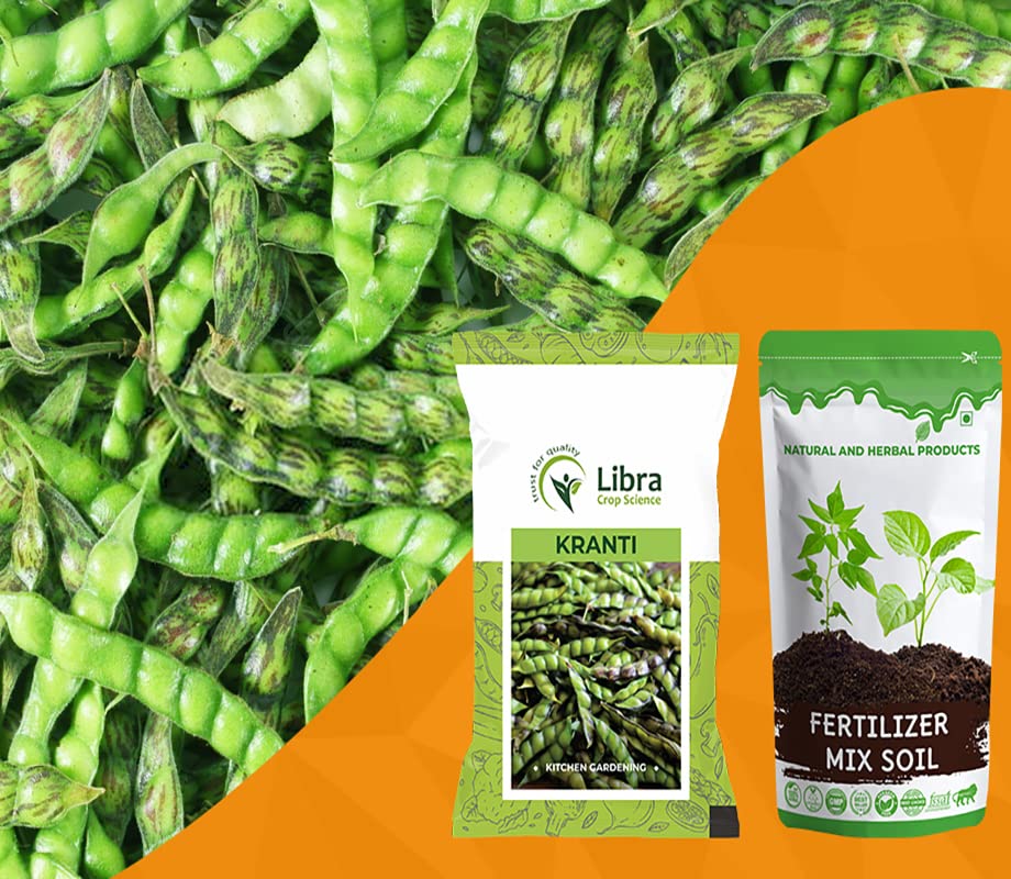 Pigeon Pea Seeds Hybrid | Home | Garden | Farming | Vegetable | Kitchen | Planting | Terrace | Balcony | Eating | Guandules | Tur Fali | Tuver Sing | Tuvar Beans - 25 Gram : 173 Seed (KRANTI) (B0B38NH36V) Amazon Price History, Amazon Price Tracker