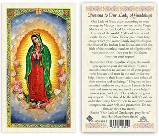 Novena to Our Lady of Guadalupe Laminated Prayer Cards - Pack of 25-