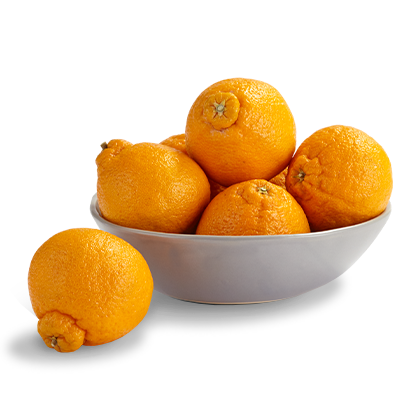Sumo Citrus Product image of Sumo Citrus