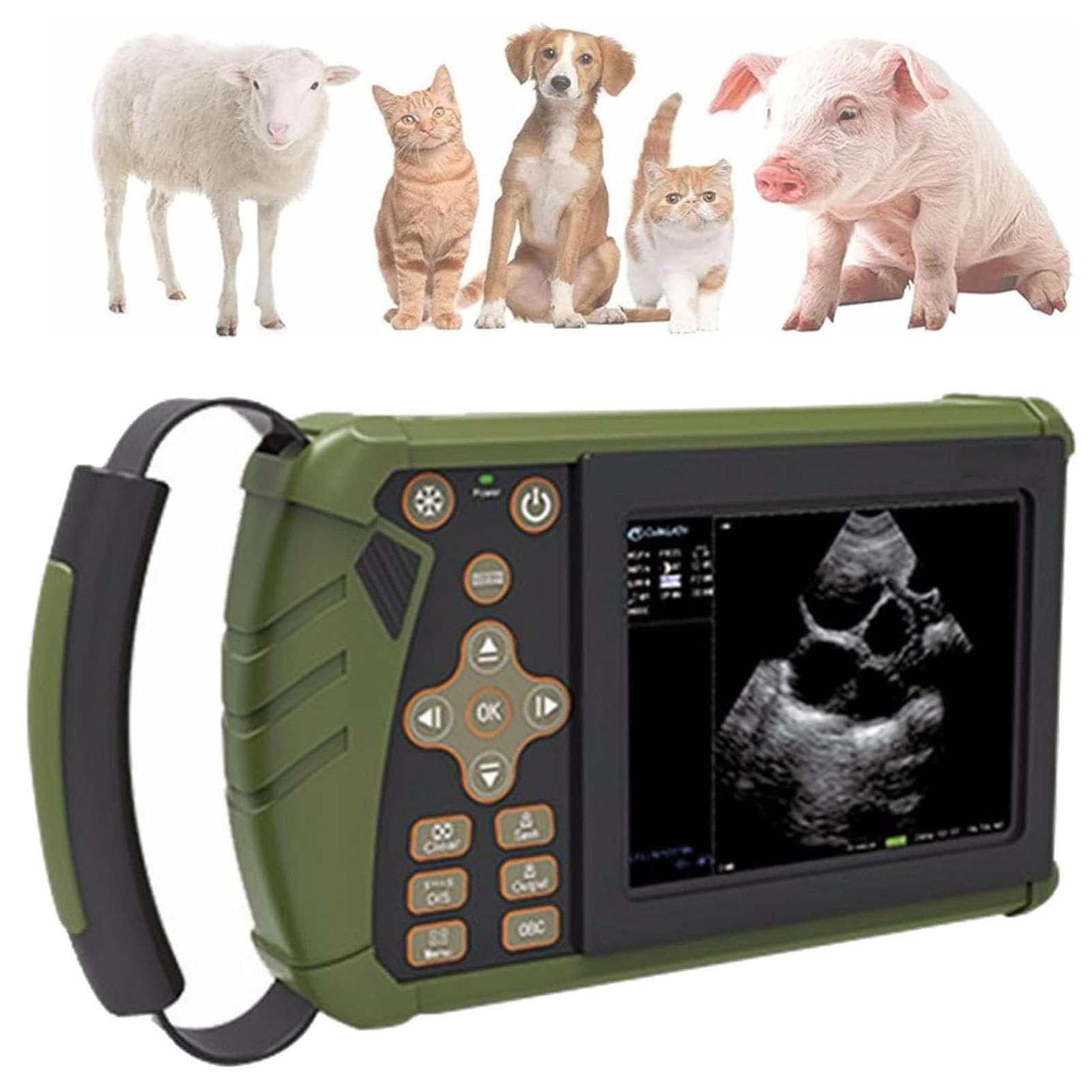 Diagnostica Veterinaria della Gravidanza, Ecografo Portatile Veterinario, per L'imaging di Suini, Ovini, Cani e Gatti in Gravidanza, con Sonda da 3,5 MHz