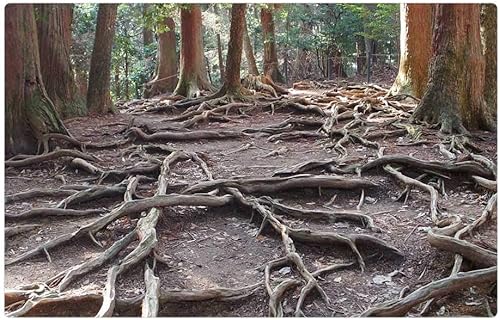 Felpudo (23.6 x 15.7 pulgadas), diseño de árbol de madera de Kurama