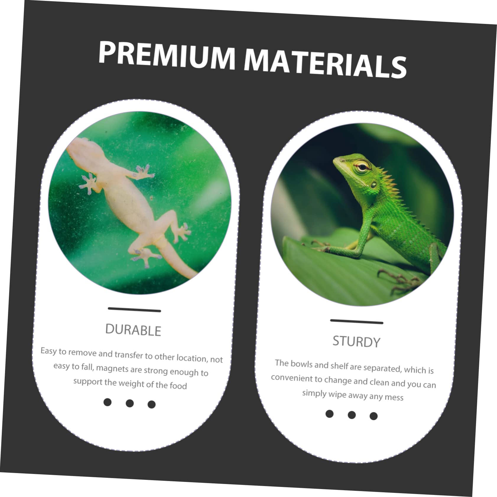 SUPVOX 5 Piezas Cuenca de Alimentos terrario de Reptiles Comida de Lagarto tazón de Tortuga geco Sorprendente Sorpresa Comedero para Reptiles Cuenco Colgante el plastico