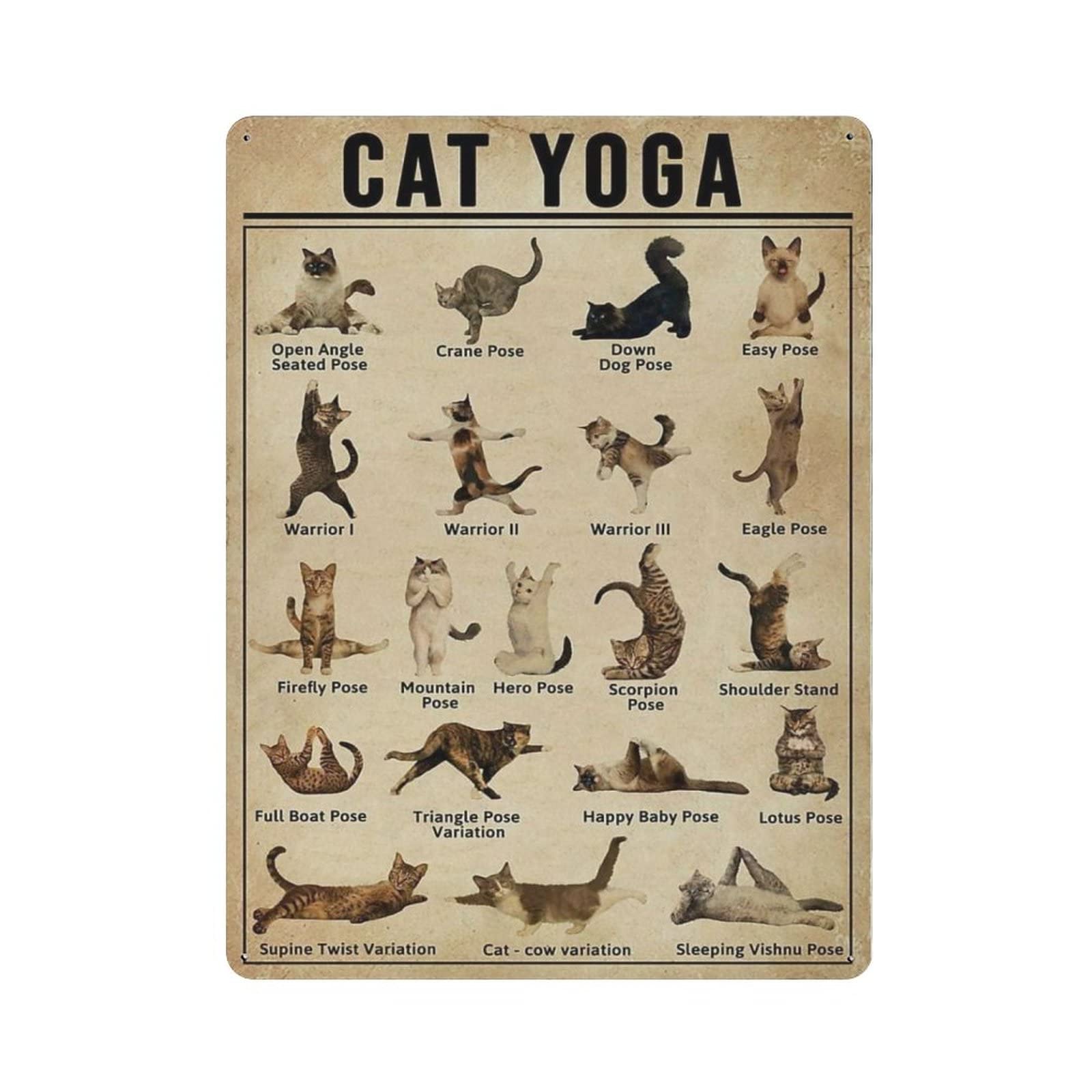 AOOEDM Cat Yoga Metal Tin Signs for Man Cave Funny Art Wall Plaque Kitchen Bar Sign Coffee Shop Garage Wall Decor Hanging Decor