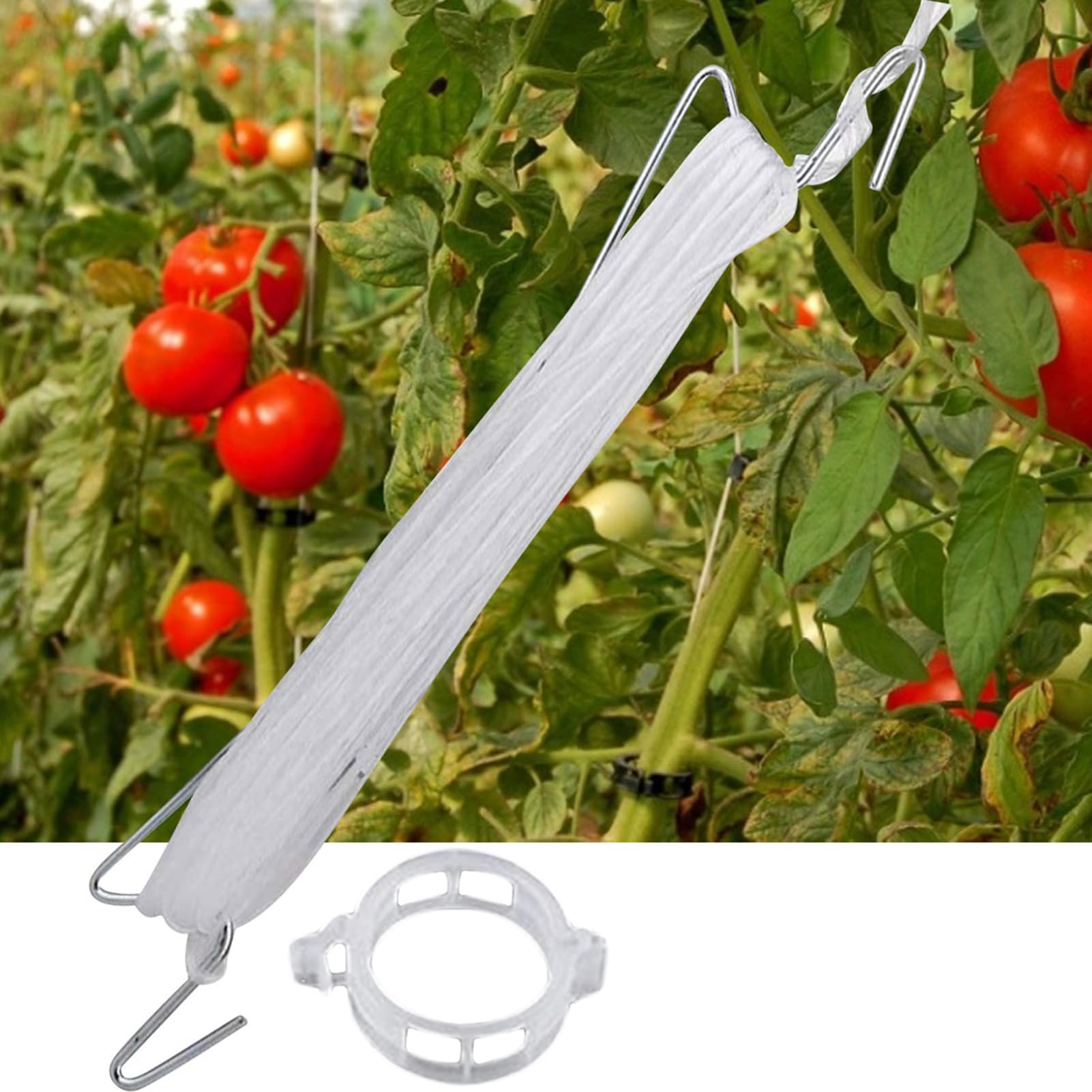 Ganci Per Pomodori 10 Pezzi Supporto Da Giardino Ad Alta Resistenza | Clip Per Piante Da Giardino Ganci Pomodori Con Spago Per Esterno Verdura Frutta Piante Fiori Cetriolo Anguria Uva Luffa